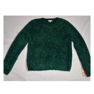 Gianni Bini Green Sweater